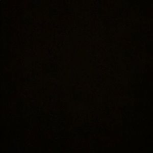 Meet your Posher, Noela